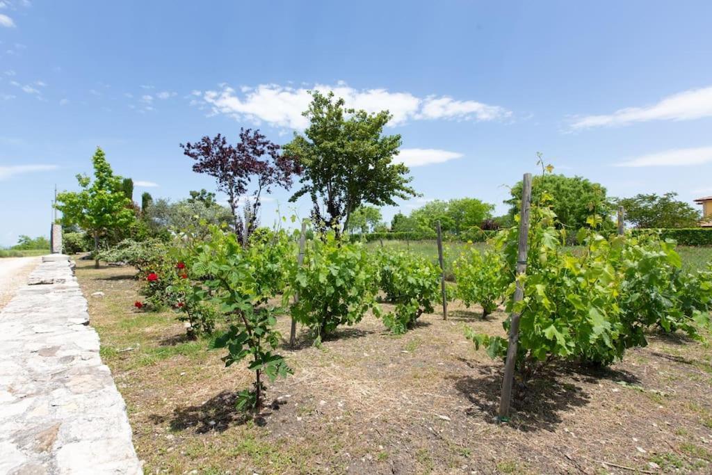 Villa Ruffo Campobasso Eksteriør billede
